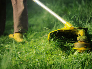 Lawn Care Tips For Midwest Climate