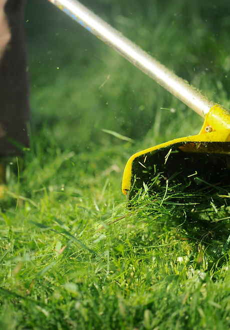 Lawnmower