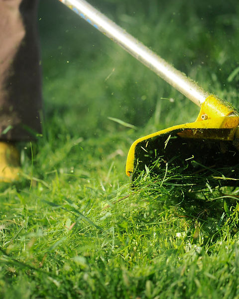 Lawnmower