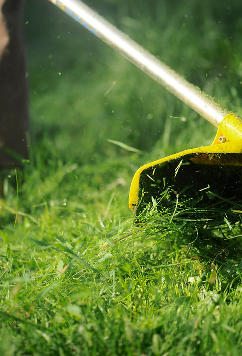 Lawnmower
