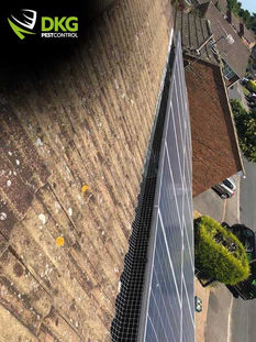 Solar-Panel-Pigeon-Proofing-Berkshire.jpg