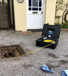 Rat Pest Control in Wokingham, Berkshire