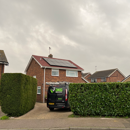 Bird Proofing Solar Panels in Colchester