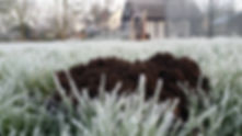 Mole Catcher Yateley