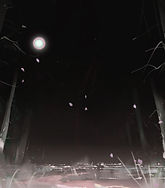 Night_forest_-_Sweet_escape[1]_edited.jpg