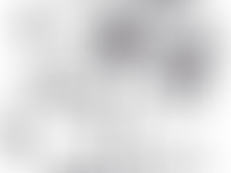 Everything You Need to Know About the Upcoming Detailed 2025 Map Release