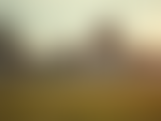 Stay Updated with Tonawanda Sports News and Updates