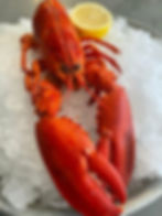 Homard canadien 300 gr