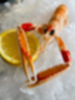 1 langoustine