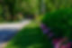 MSi-Grounds-Buildings-1033.jpg
