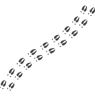 Untitled design (41)_edited.png