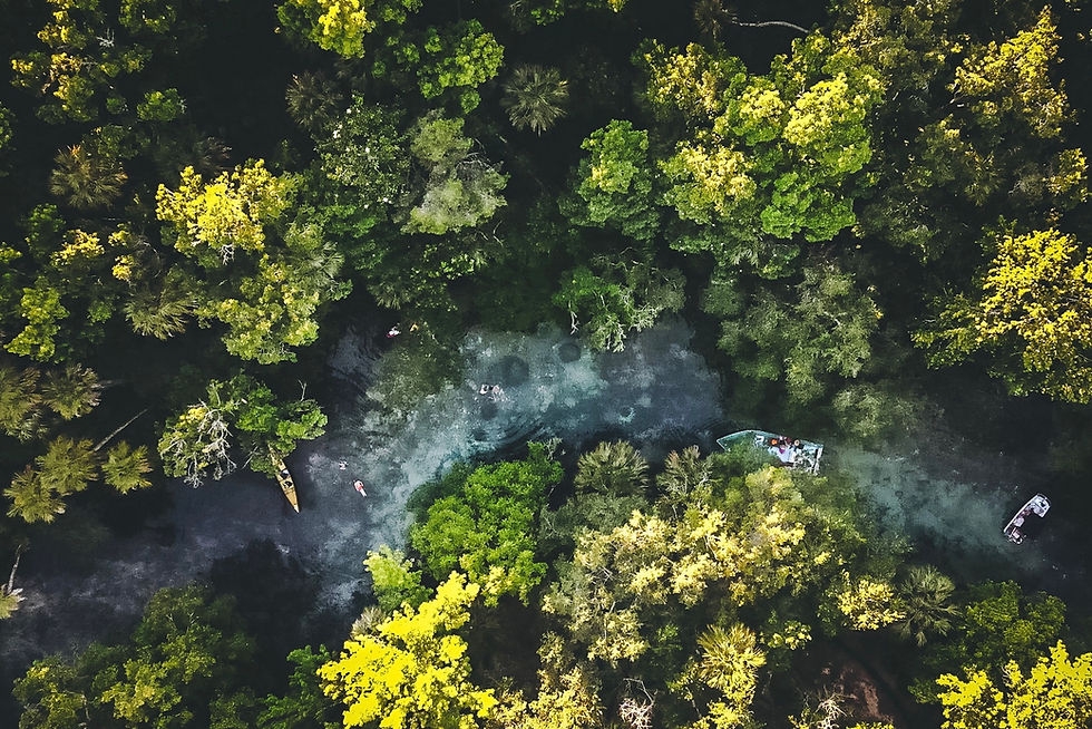 Chassahowitzka River, FL