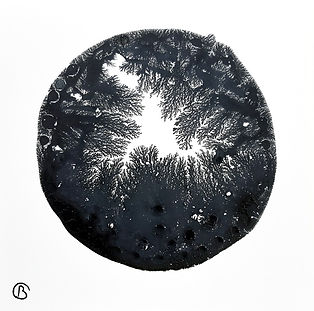 peinture abstraite noir et blanc rond par l'artiste française christine barone
