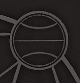 A circle symbolizing one of the five species.