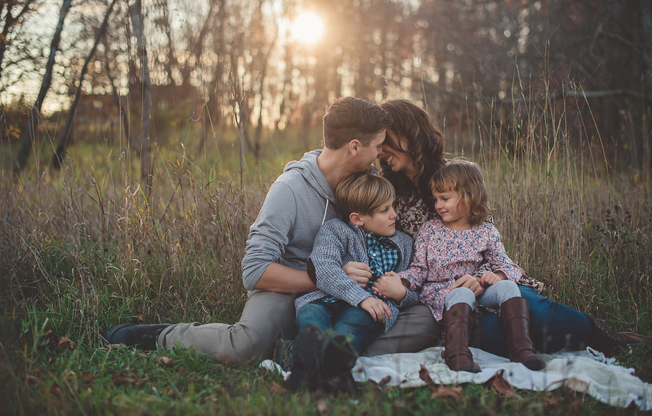 Family Systems Therapy