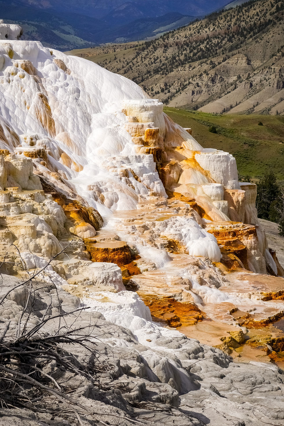 active-hot-spring-mammoth-hot-springs-terraces-y-2026-03-13-04-15-27-utc.jpg