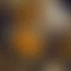 Bavarian cordon bleu