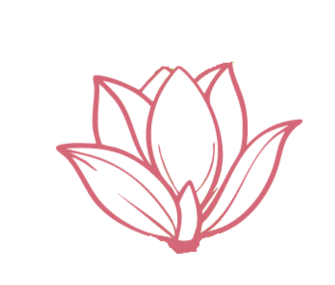 Balance & Bloom