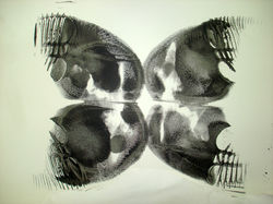 Bottomfly