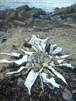 Beach Angel. 2006