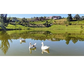 Lote en Parcelación el Lago