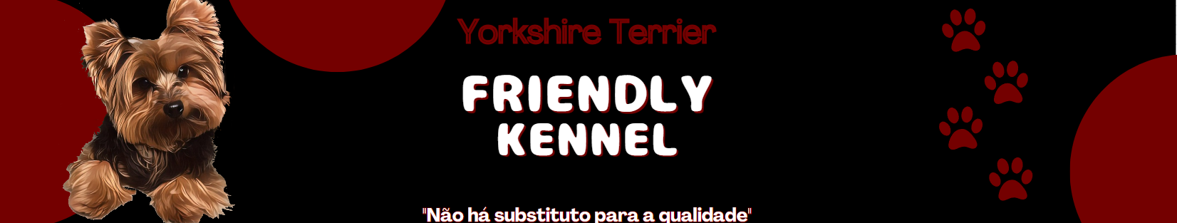 imagem_2024-01-27_155110427.png