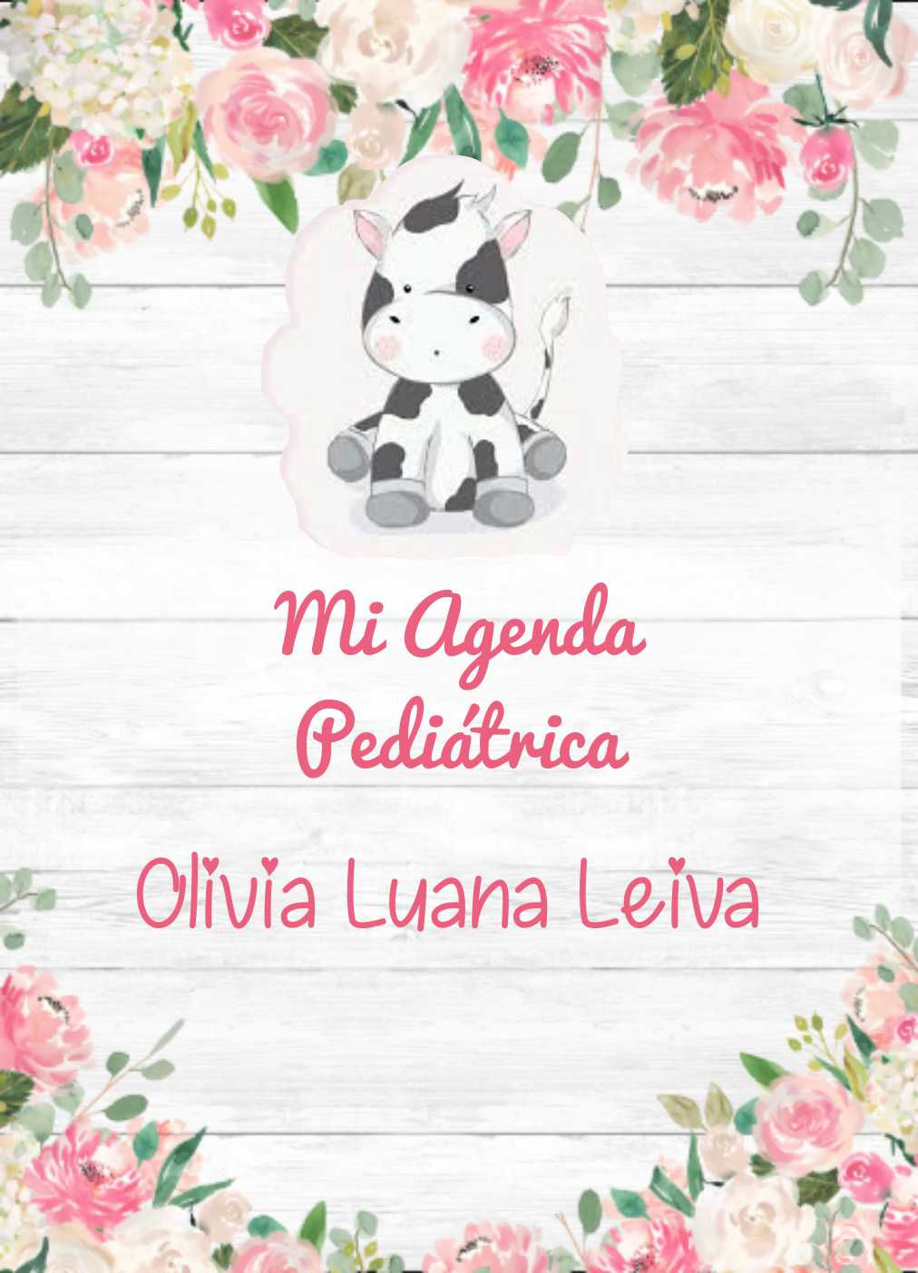 Agenda pediátrica + 2 imanes + 8 fotos impresas del bebe