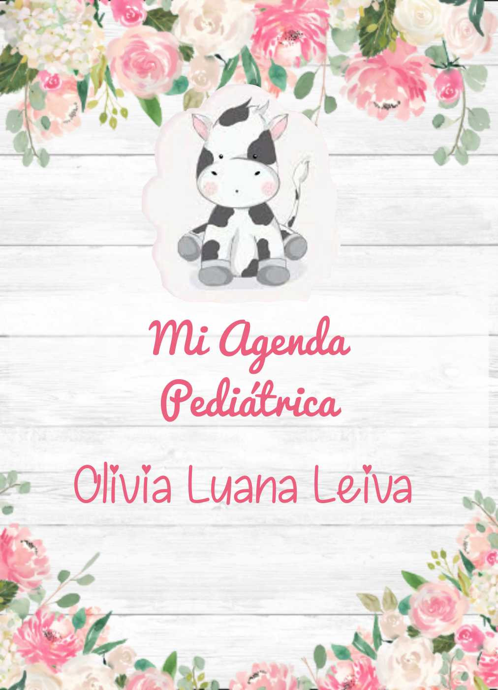 Agenda pediátrica + 2 imanes + 8 fotos impresas del bebe