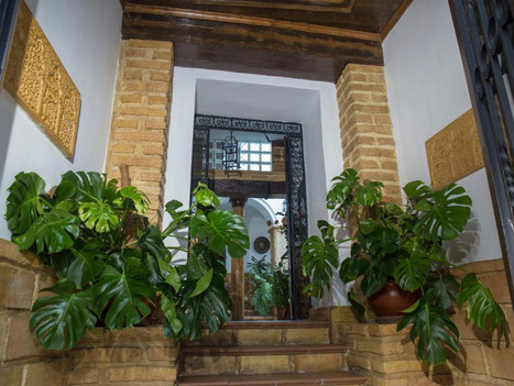 Fachada de piedra con revestimientos y molduras