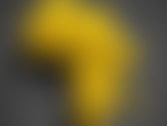 Naviguer les défis de l'importation en provenance d'Afrique : Pourquoi l'Afrique du Sud se distingue