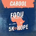 Hub - Cabool (1).png