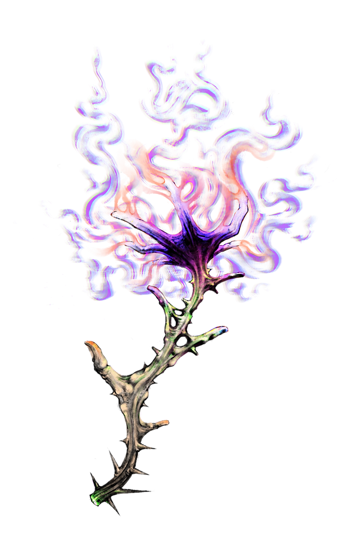 The Duke's 𝘙𝘰𝘴𝘢