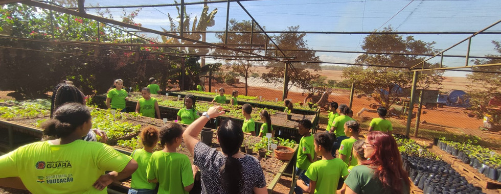 Visita ao Viveiro Florestal promove educação ambiental