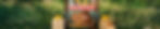 banner-lemonade-dog-studio.jpg