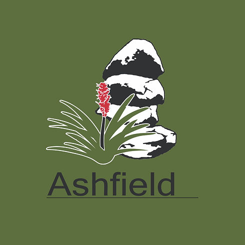 ashfield public school logo.001.jpeg