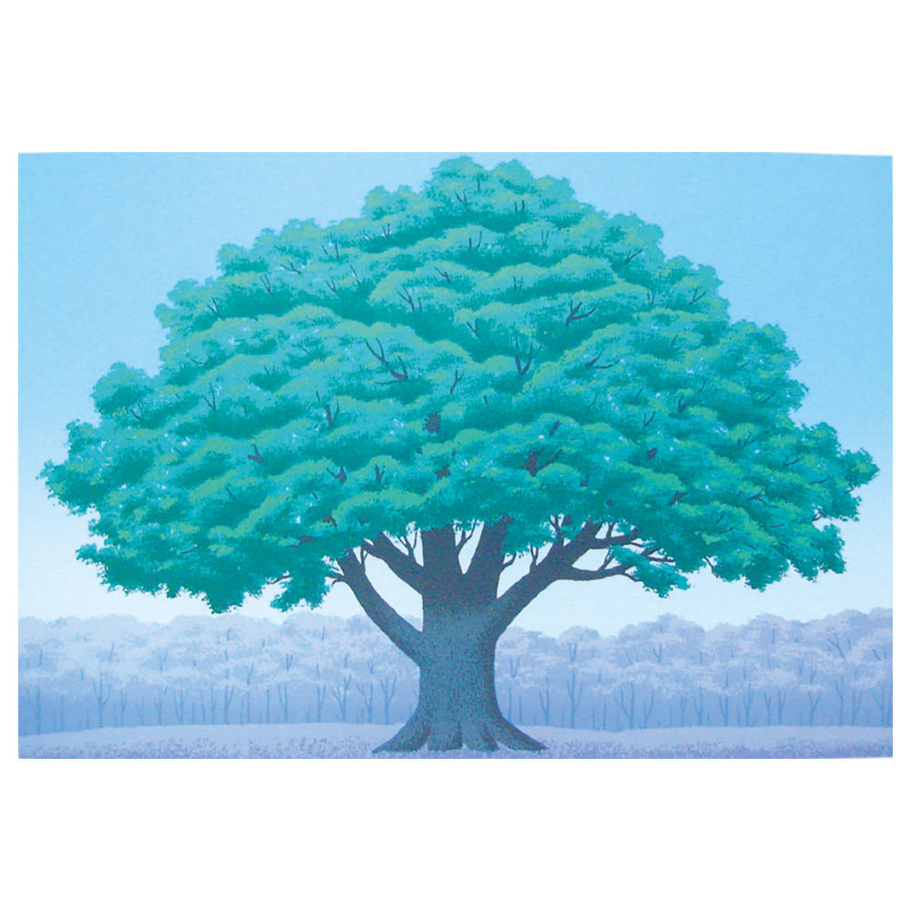 Big Old Tree