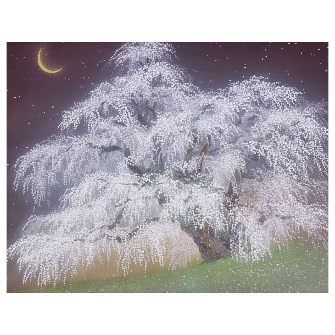 三春瀧桜（月)／Miharu Takizakura