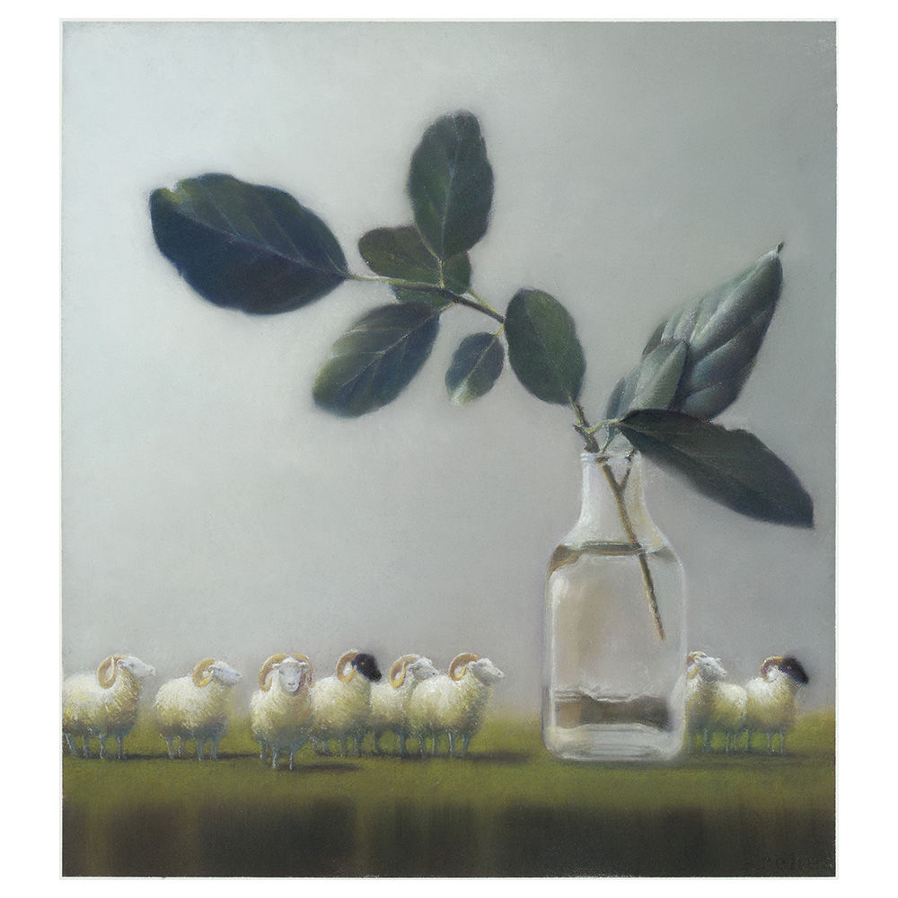 Sheeps welcoming the morning