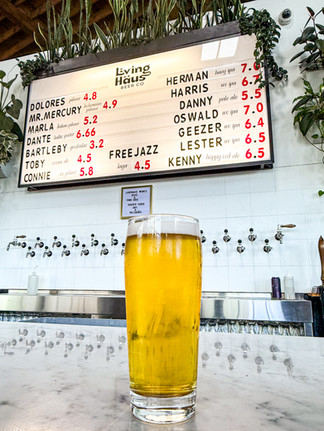 Living Haus craft beer brewery beer in pint glass