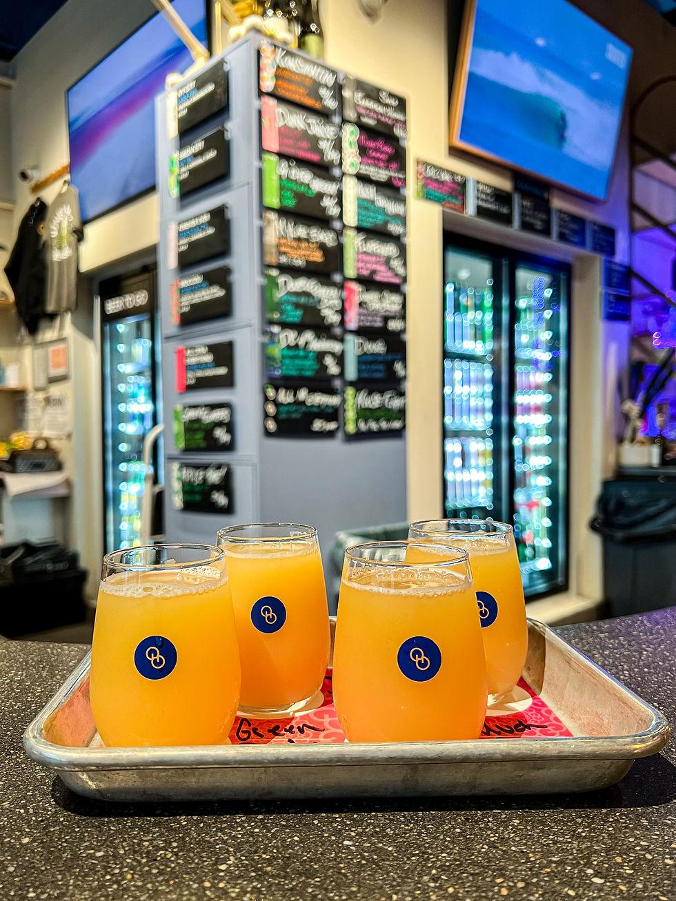 Other Half Brewing Rockefeller New York City craft beer flight