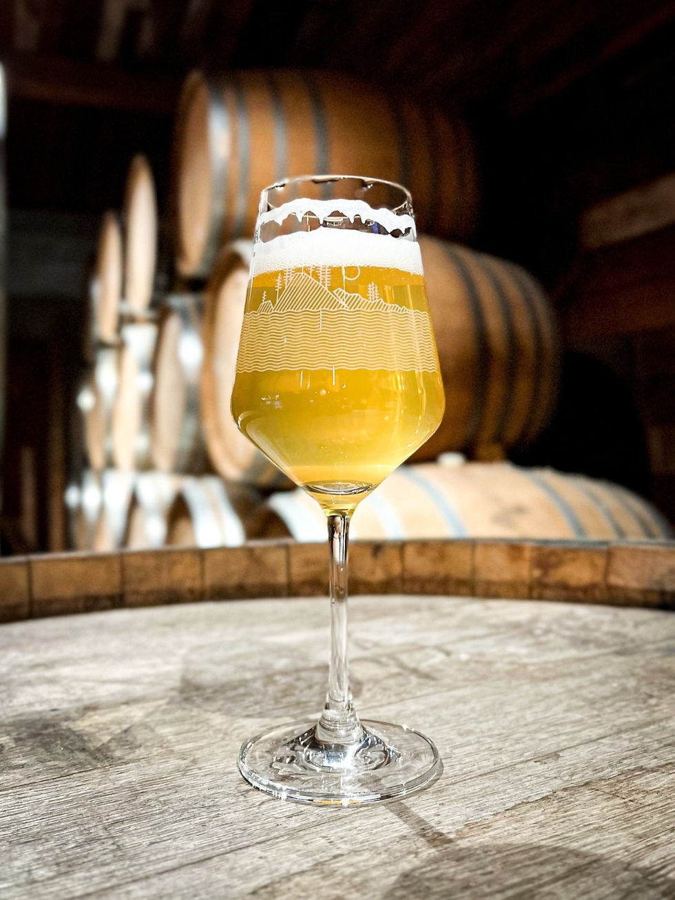 Fair Isle Brewing saison in stemmed glassware in front of barrels in brewery.