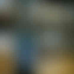 barrel aged stout from Finback Brewing in Queens, New York