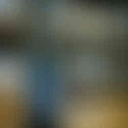 Finback Brewing strawberry stout craft beer in bottle