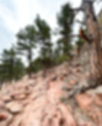 hike in Boulder, Colorado