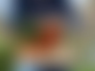 5 Ciri Sayur Organik Asli yang Wajib Kamu Tahu — Jangan Sampai Tertipu Label Palsu!