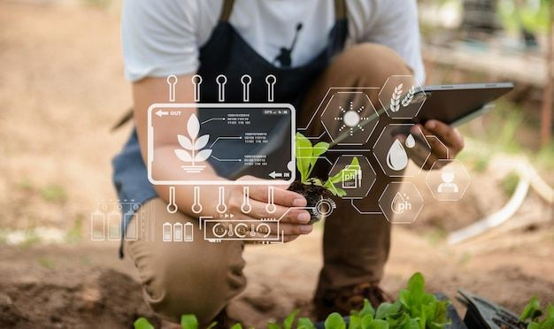 Teknologi AI dalam Pertanian