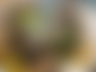 Zero-Waste Kitchen: Bagaimana Industri F&B Wujudkan Praktik Dapur Tanpa Limbah yang Irit dan Lingkungan-Friendly