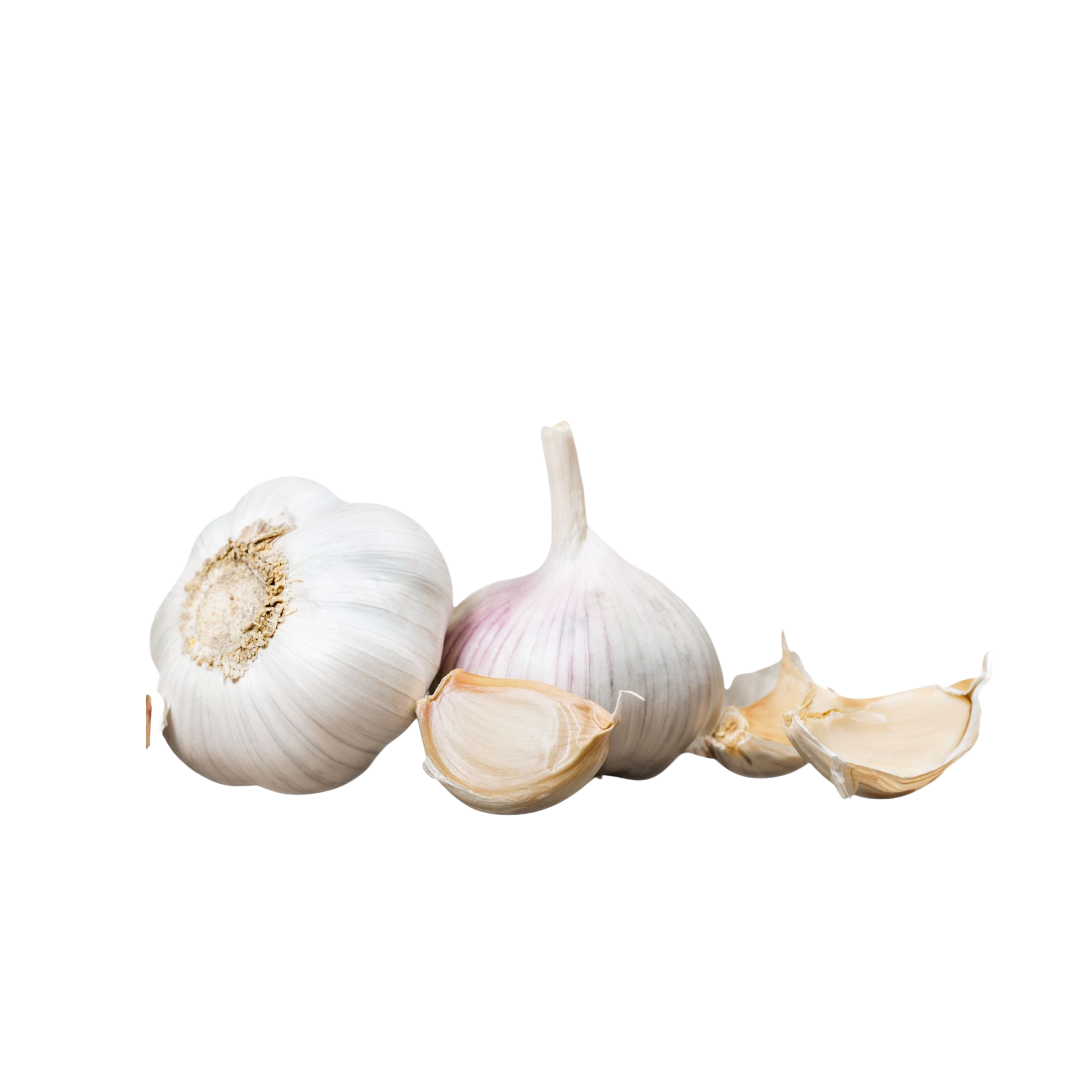 Bawang Putih Banci