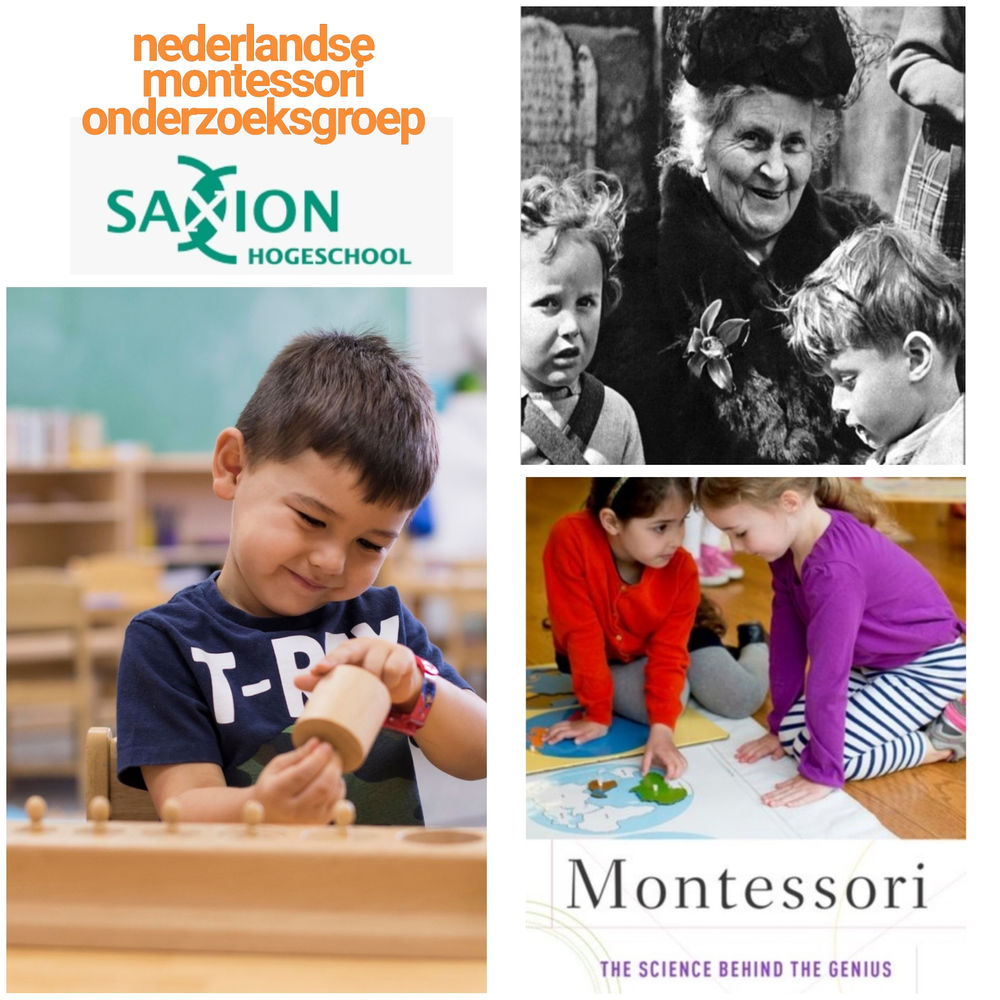Bestaat Dé Montessorischool?