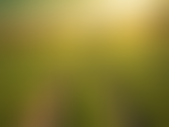 Optimize Crop Yield with Banks Agro's Expert Agronomy Services